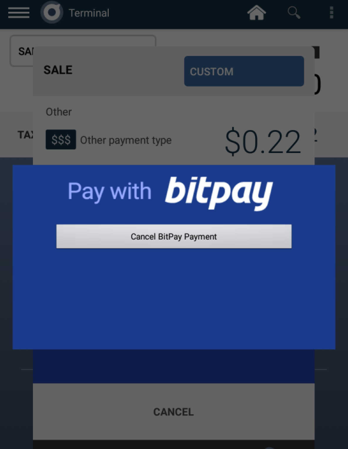 pay_with_bitpay.png